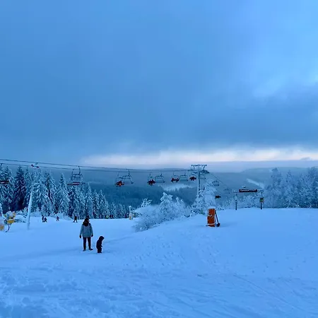 Apartment Erna By Interhome *