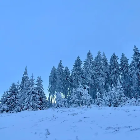 아파트 Erna By Interhome