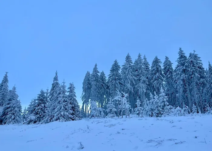 Appartamento Erna By Interhome